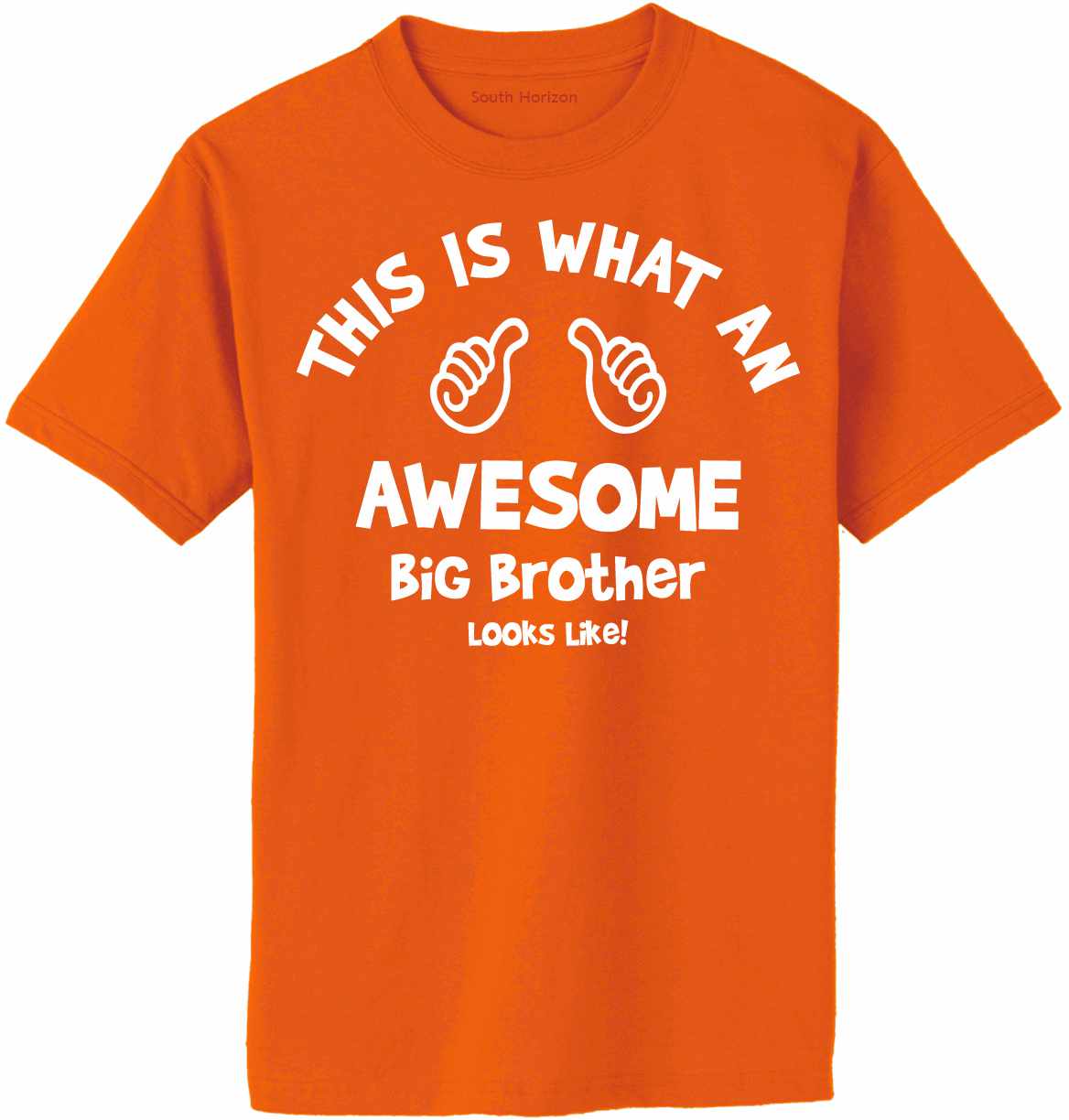 This is What an AWESOME BIG BROTHER Looks Like Adult T-Shirt