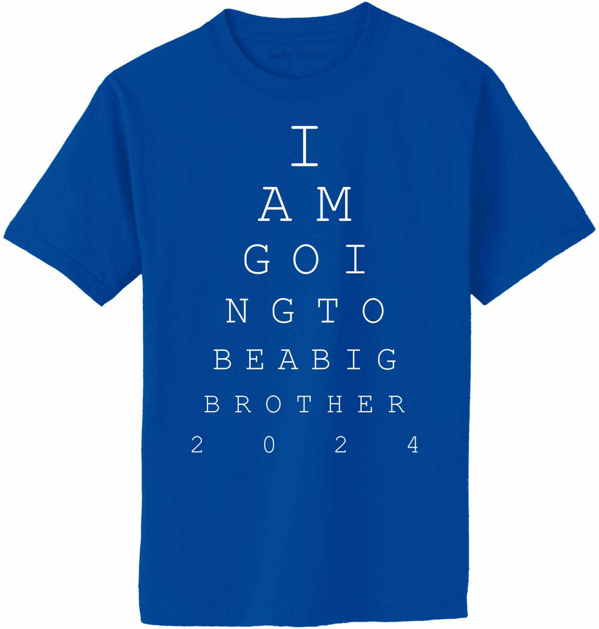 Big Brother Eye Chart 2024 on Adult T-Shirt (#1383-1)