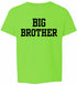 BIG BROTHER on Youth T-Shirt (#1110-201)