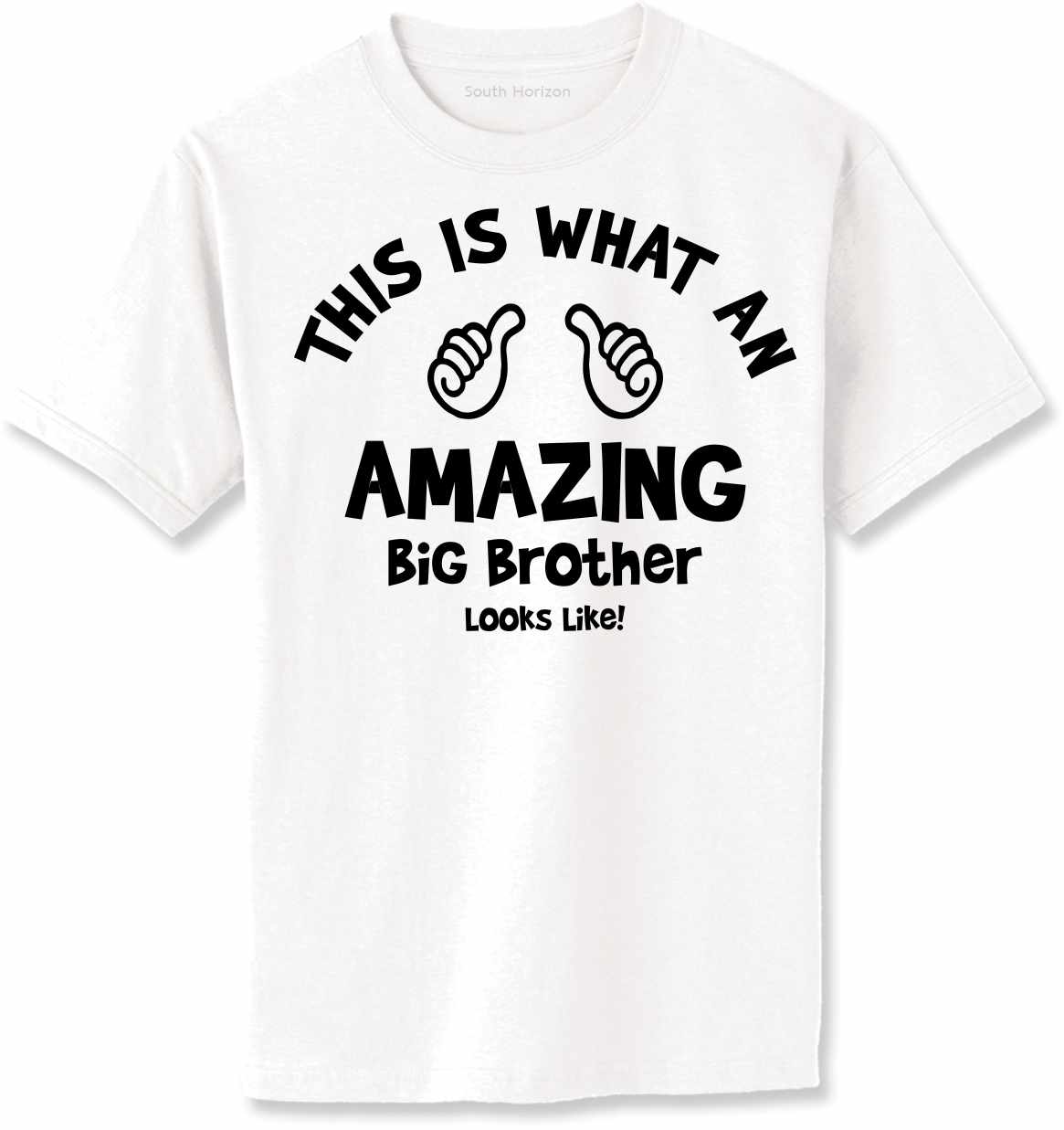 This is What an AMAZING Big Brother Looks Like Adult T-Shirt (#1115-1)