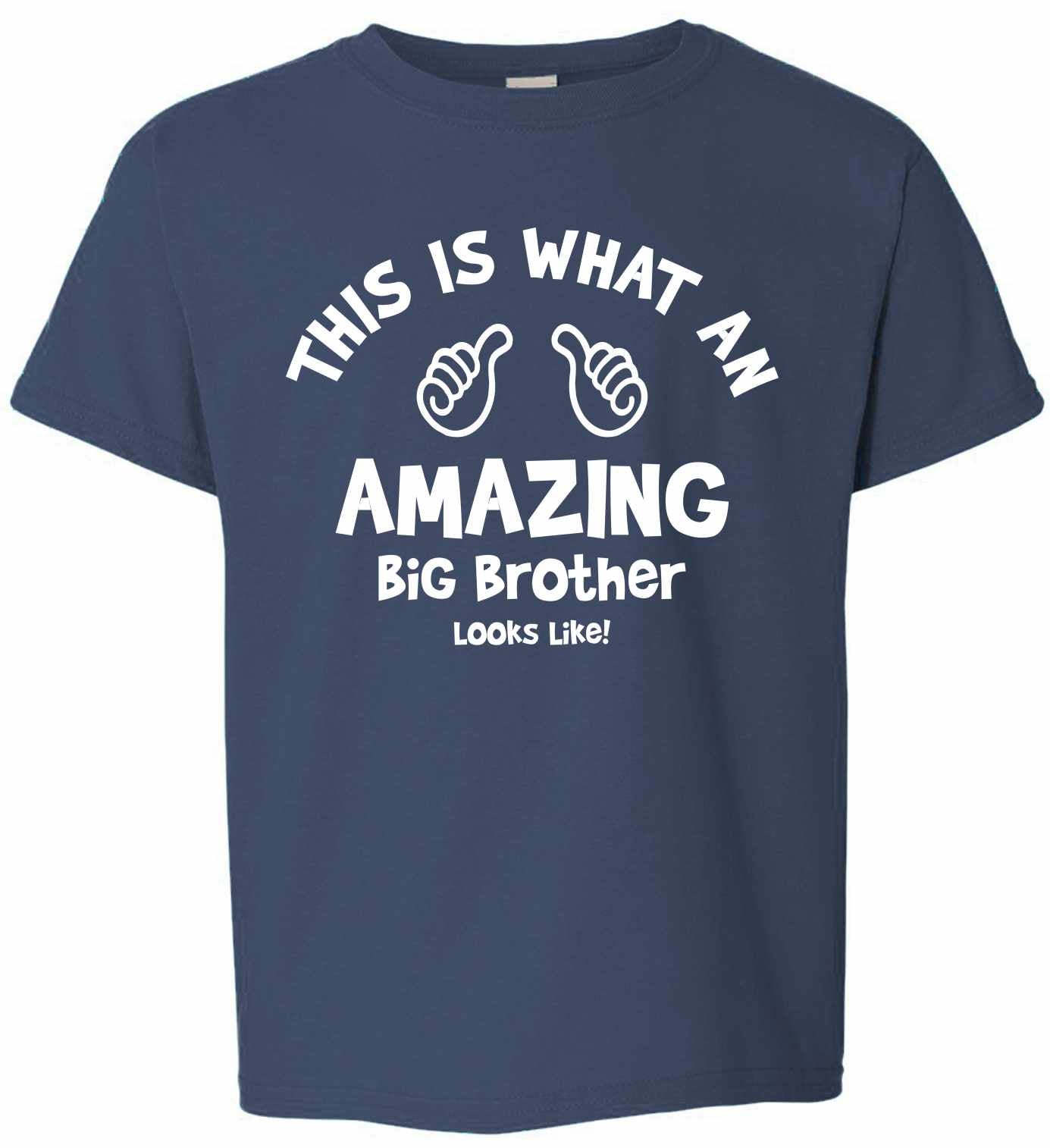This is What an AMAZING Big Brother Looks Like on Kids T-Shirt (#1115-201)