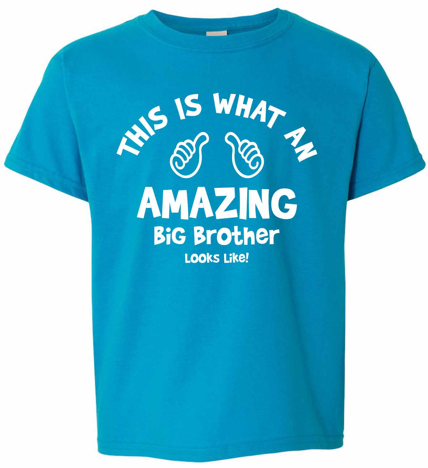 This is What an AMAZING Big Brother Looks Like on Kids T-Shirt (#1115-201)