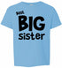 Best Big Sister on Youth T-Shirt (#1139-201)