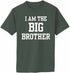 I AM The Big Brother Adult T-Shirt