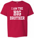 I AM The Big Brother on Kids T-Shirt