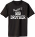 Promoted To Big Brother on Adult T-Shirt (#1232-1)