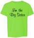 I'm the Big Sister on Kids T-Shirt (#1245-201)