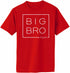 Big Bro Again- Big Brother Box on Adult T-Shirt