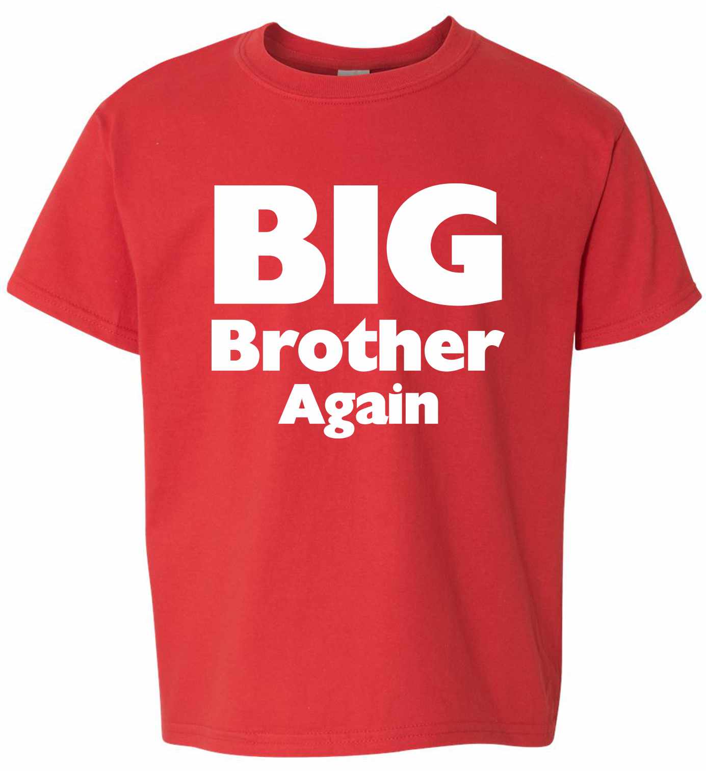 Big Brother Again on Kids T-Shirt