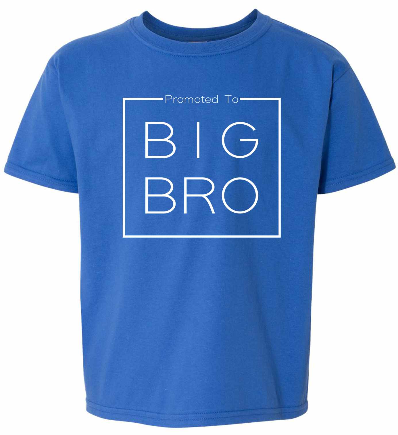 Promoted to Big Bro- Big Brother Box on Kids T-Shirt (#1336-201)