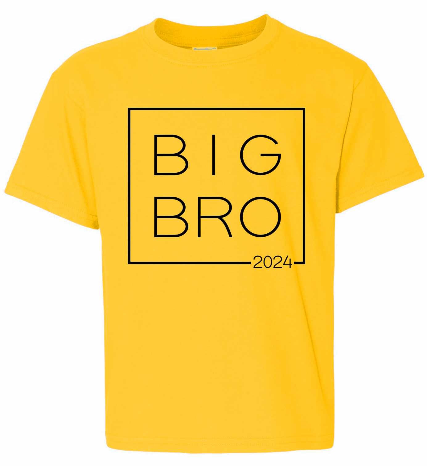 Big Bro 2024 - Big Brother Box on Kids T-Shirt (#1353-201)