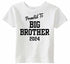 Promoted to Big Brother 2024 on Infant-Toddler T-Shirt (#1362-7)