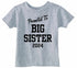 Promoted to Big Sister 2024 on Infant-Toddler T-Shirt (#1364-7)