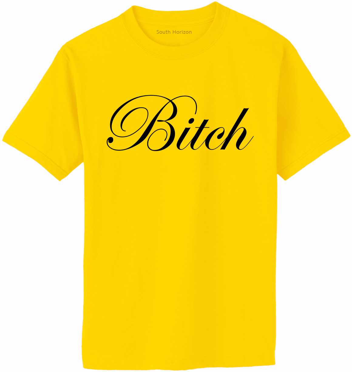 BITCH Adult T-Shirt (#356-1)