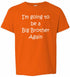 I'm Going to be a Big Brother Again on Kids T-Shirt