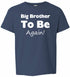 Big Brother To Be Again on Kids T-Shirt (#864-201)