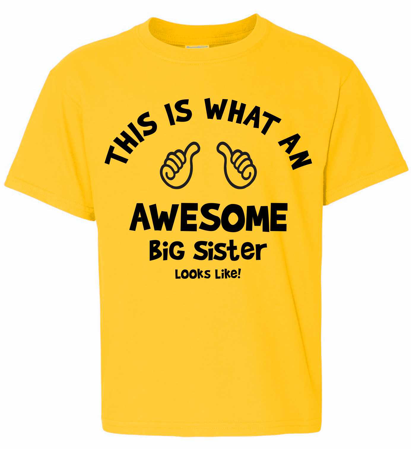 This is What an AWESOME BIG SISTER Looks Like on Kids T-Shirt