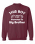This Boy is About To Get Promoted To Big Brother Sweat Shirt